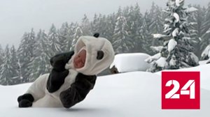 Полет младенца в снег не встретил одобрения у публики блогера Косенко - Россия 24