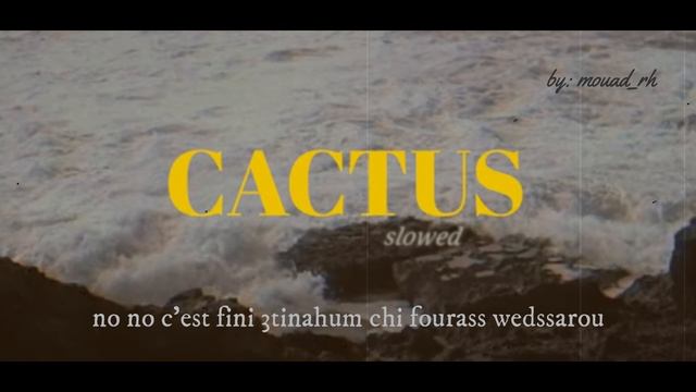 raste - cactus ( lyrics/ slowed + reverb) смотреть онлайн