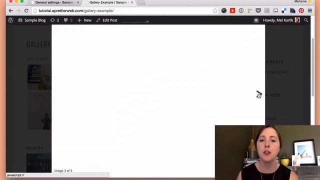 How to Add a Gallery to WordPress, Add a Lightbox and Change it's Layout смотреть онлайн