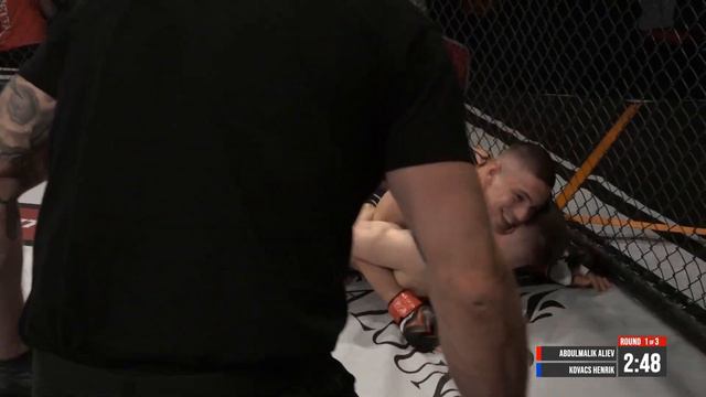 VENDETTA 32 - Abdulmalik Aliev VS Kovacs Henrik смотреть онлайн