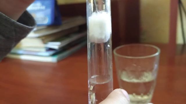 Как сделать инкубатор для муравьев видео для новичков смотреть онлайн