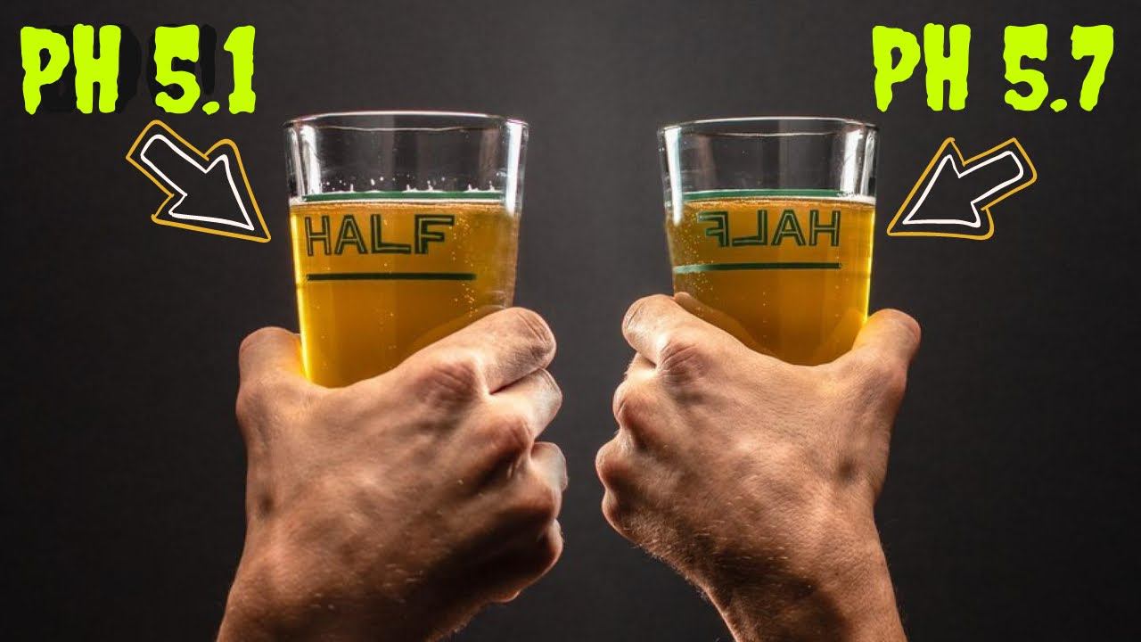 PH затора и сусла в домашнем пивоварении!!!!Важен РН или нет?Эксперимент!!!домашнее пиво! смотреть онлайн