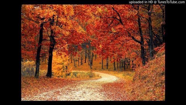 Sorrow (Mort Shuman) смотреть онлайн