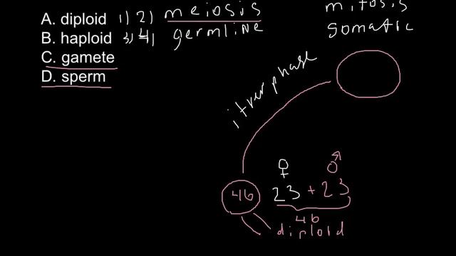 Mitosis problem solving example смотреть онлайн