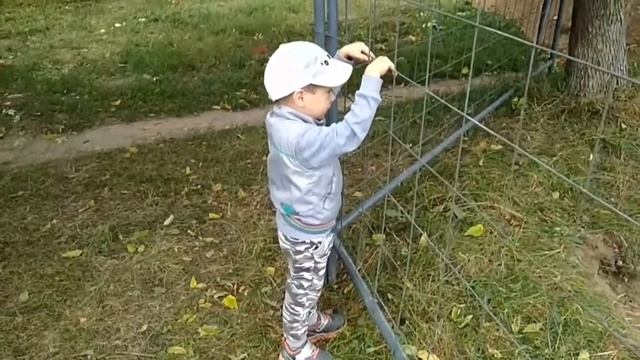 КРУТАЯ ДОРОЖНО-СТРОИТЕЛЬНАЯ ТЕХНИКА. LIVE STREAM. смотреть онлайн