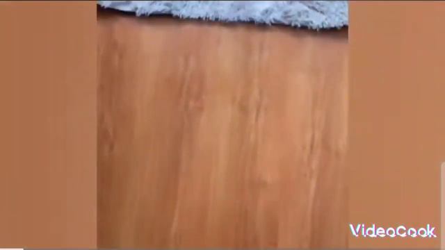 подборка смешных животных! часть 2 😀 смотреть онлайн
