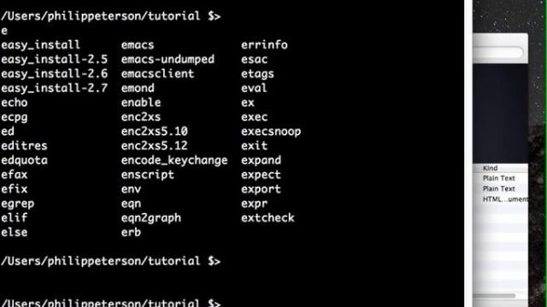 Bash Scripting Tutorial 2 — Relative vs. absolute paths, tab completion, echo, man