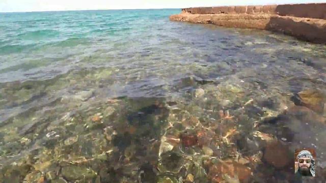 Крабики в красном море - красные? смотреть онлайн