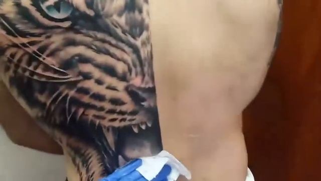 AMADEUS TATTOO спина тигр смотреть онлайн