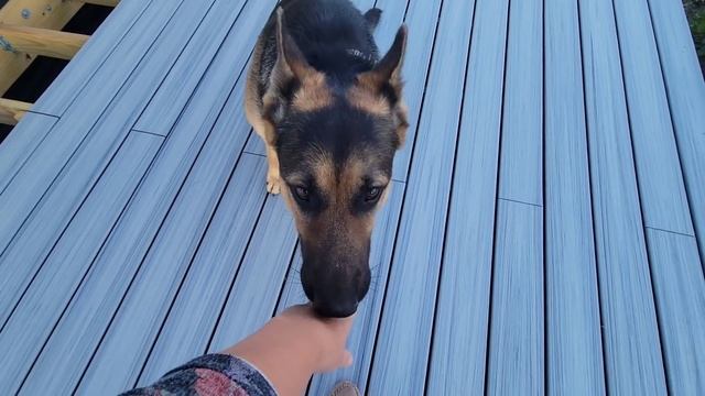 ЧТО Я ПРИГОТОВИЛА НА ДЕНЬ РОЖДЕНИЯ СЫНА смотреть онлайн