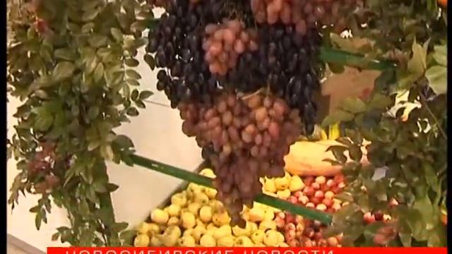 Клубни чуфа со вкусом миндаля могут появиться в рационе сибиряков смотреть онлайн