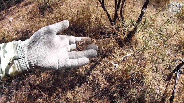 MUCHAS MONEDAS EN TODOS LADOS! DETECCION DE METALES EN AGUASCALIENTES MEXICO CON E TRAC DE MINELAB смотреть онлайн