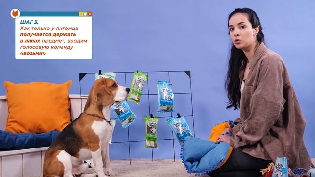 Как научить собаку держать в лапах? Учим собаку держать лапами предметы! Дрессировка собак смотреть онлайн