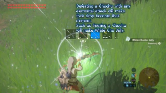 BoTW: Elemental Combat Tips