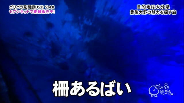 ～編後～旅す探を力魅の市野大後豊・県分大】録聞見ラパリゴ смотреть онлайн