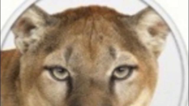 Apple OS X Mountain Lion  New  Operating System  Release Date Tomorrow