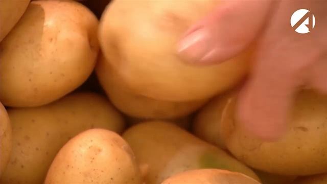 В Астрахань доставили 600 тонн молодого картофеля из Ирана.mp4 смотреть онлайн