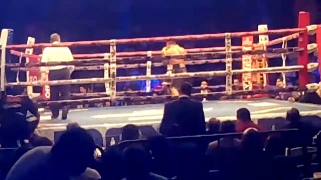 pelea de elvis смотреть онлайн