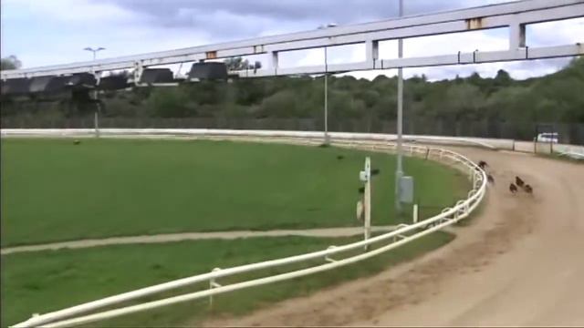 Kinsley Greyhound Races on 10th August 2021 смотреть онлайн