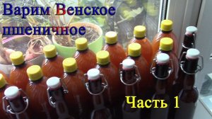 Варим пиво в кастрюле, венское пшеничное (Часть1)
