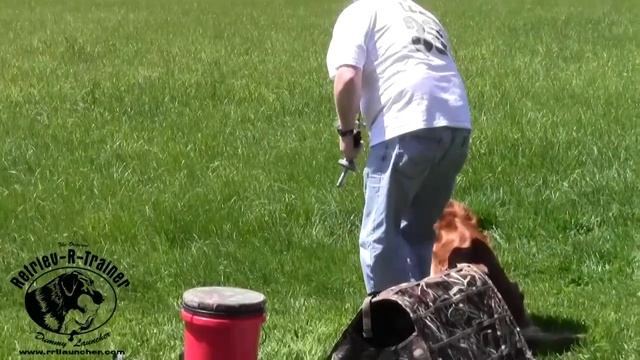 Retriev-R-Trainer Dog Training Dummy Launcher Demo смотреть онлайн