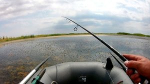 ЛОВЛЯ ТРОФЕЙНОГО ЗМЕЕГОЛОВА НА СПИННИНГ / ПОКЛЁВКИ ЗМЕЕГОЛОВА ДУПЛЕТОМ