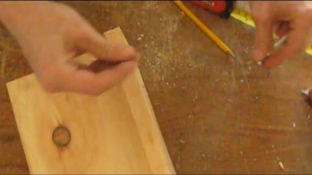 DIY Chinchilla Ledge (Advanced with Poop Guards) смотреть онлайн