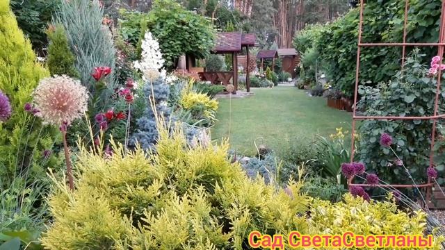 Мой любимый сад в начале июля.Приглашаю на прогулку.Раннее утро.Красивый сад своими руками. Дача. смотреть онлайн