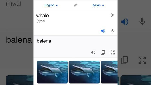Whale in italian смотреть онлайн