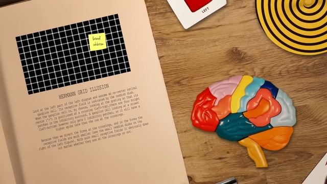How optical illusions trick your brain - Nathan S. Jacobs смотреть онлайн