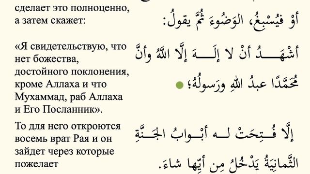 Понимание Намаза №14 | Достоинство поминания, после совершения омовения смотреть онлайн