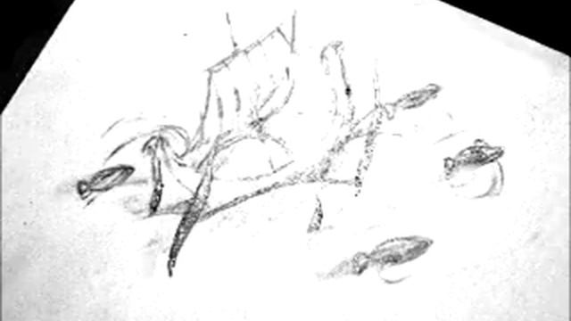 Лунная ночь смотреть онлайн