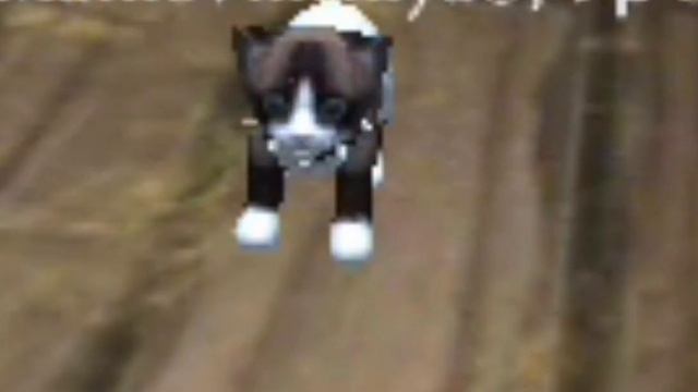 Симпл димпл нет Поп ит! Cat simulator animal life:) смотреть онлайн