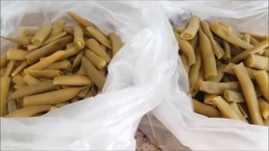 ЗАГОТАВЛИВАЕМ СПАРЖЕВУЮ ФАСОЛЬ НА ЗИМУ