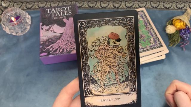 Новинка!?Распаковка и обзор колоды “Tarot of Tales”✨Таро Сказок✨ смотреть онлайн