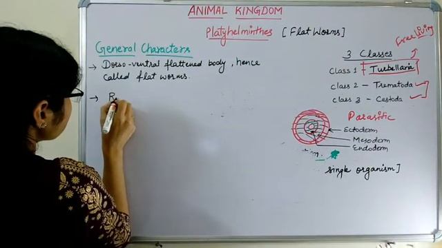 Class- 11, Animal kingdom Phylum - Platyhelminthes and Aschelminthes смотреть онлайн