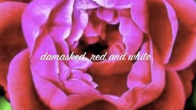 Sonnet 130 смотреть онлайн