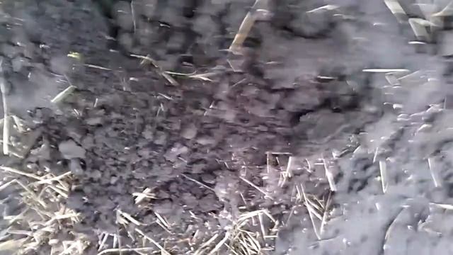 Беспощадные рязанские копатели - 5 смотреть онлайн
