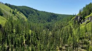 Большое путешествие по Горному Алтаю, Июнь 2023