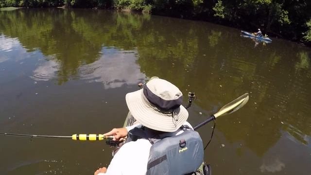A Tank of A Smallmouth Bass!! (MONSTER FISH) | BigBaitPosse | смотреть онлайн