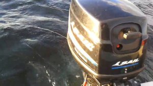 Китайский мотор Sail-40