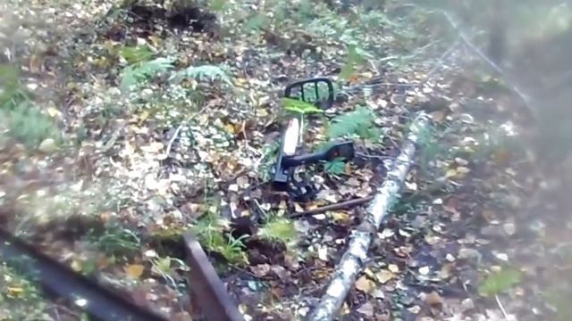 Удивительные находки в лесу. По следам лесорубов. смотреть онлайн