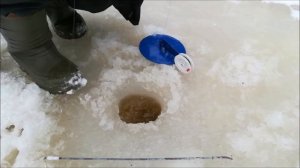 ЛОВЛЯ КУМЖИ ЗИМОЙ.mp4