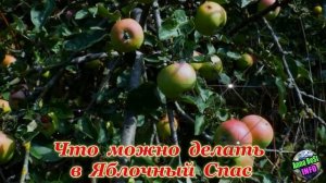 19 Августа – Яблочный Спас! Что Можно и Нельзя Делать в Этот День.