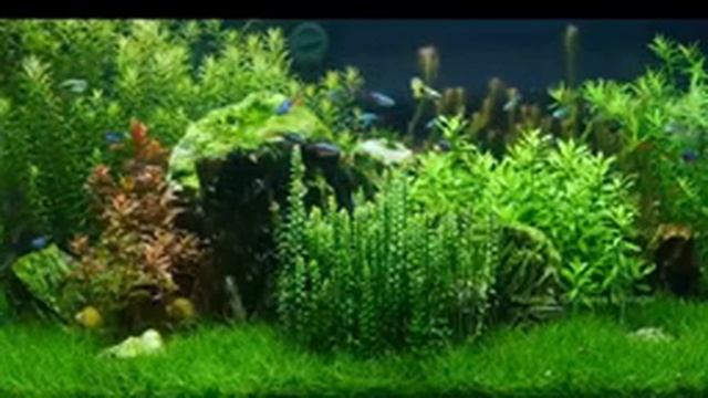 Расслабляющая музыка для сна 12 часов