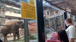 Московский зоопарк. #зоопарк #москва #московскийзоопарк