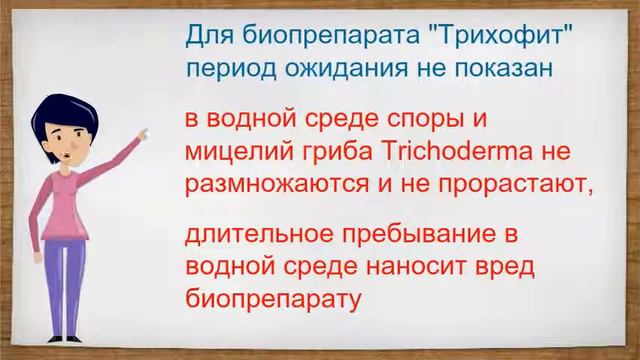 videoplayback 5 смотреть онлайн