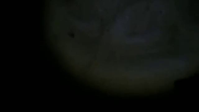 Ловля налима в октябре на р.Ока ч.2 смотреть онлайн