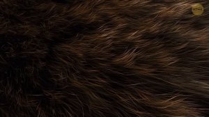 Почему нельзя иметь черные глаза + другие факты о теле