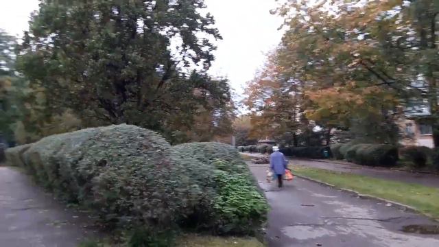 Тихий центр Калининграда - памятник героям-танкистам, аллея ул. Рокоссовского. смотреть онлайн